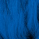[AH709008] SHOR - RENARD ARCTIC (BLUE)