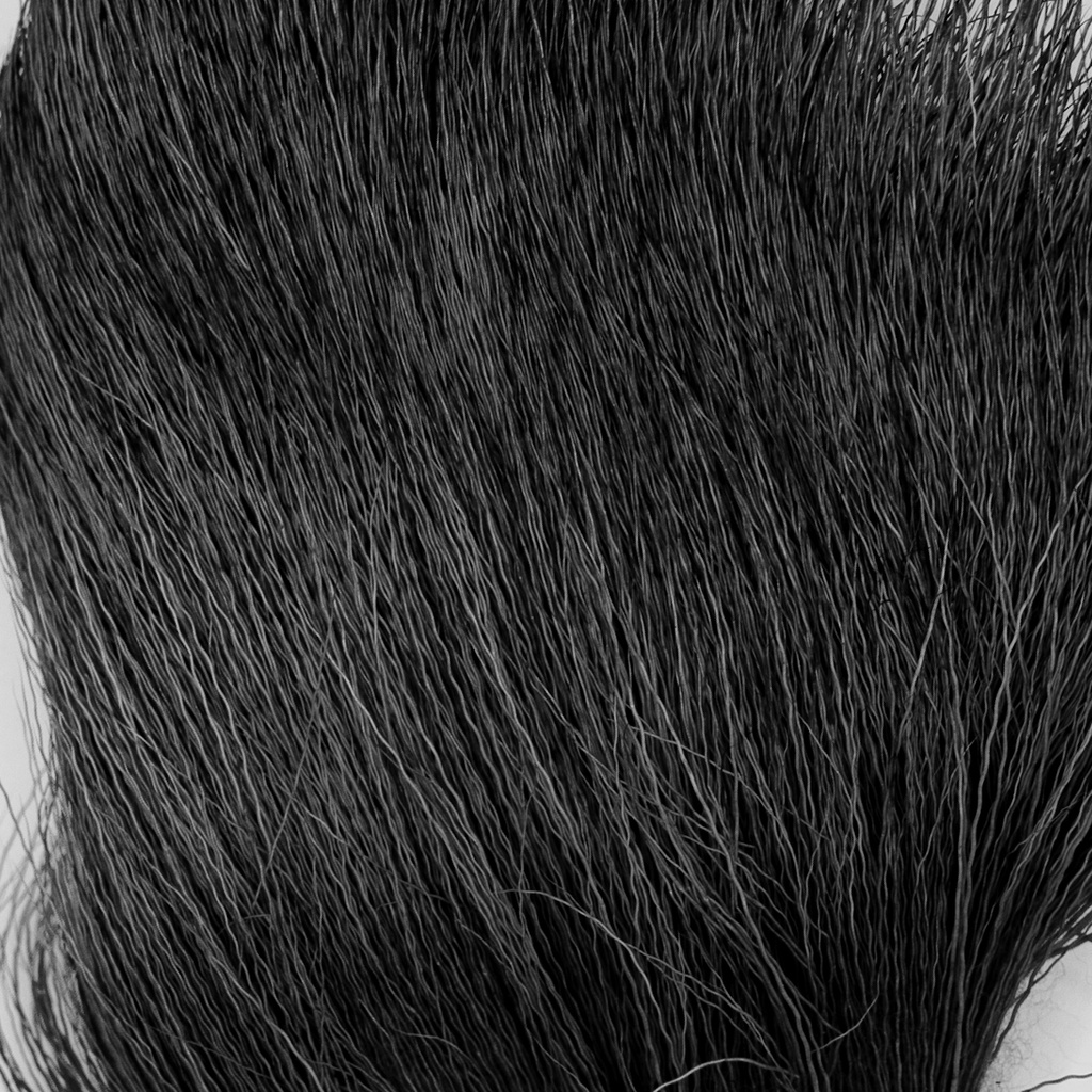 SHOR - CORPS DE WAPITI