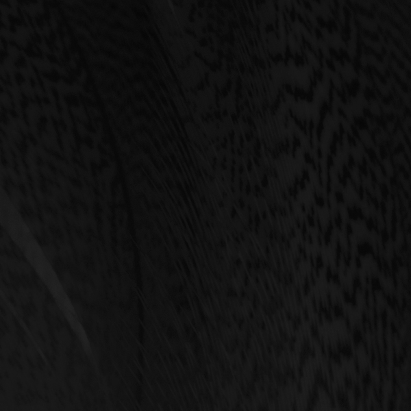 SHOR - MALLARD SPEY BRONZE