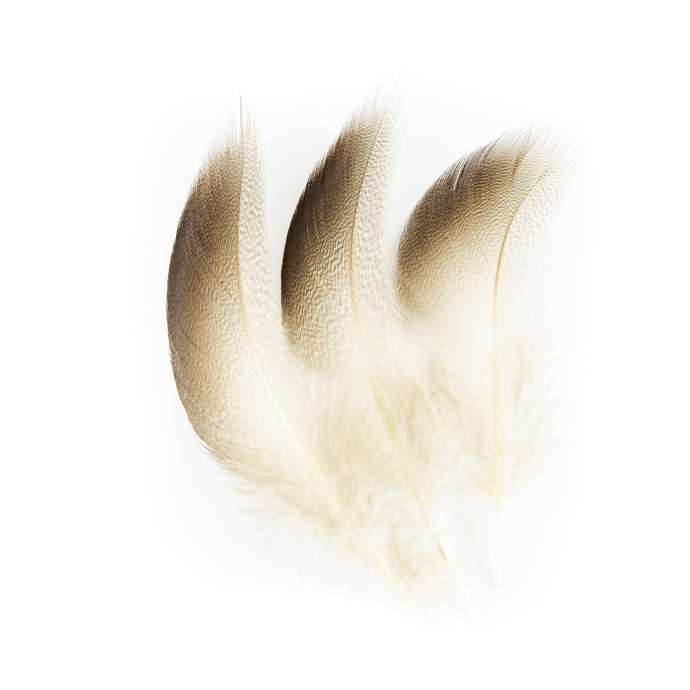 SHOR - BRONZE MALLARD SHOULDER