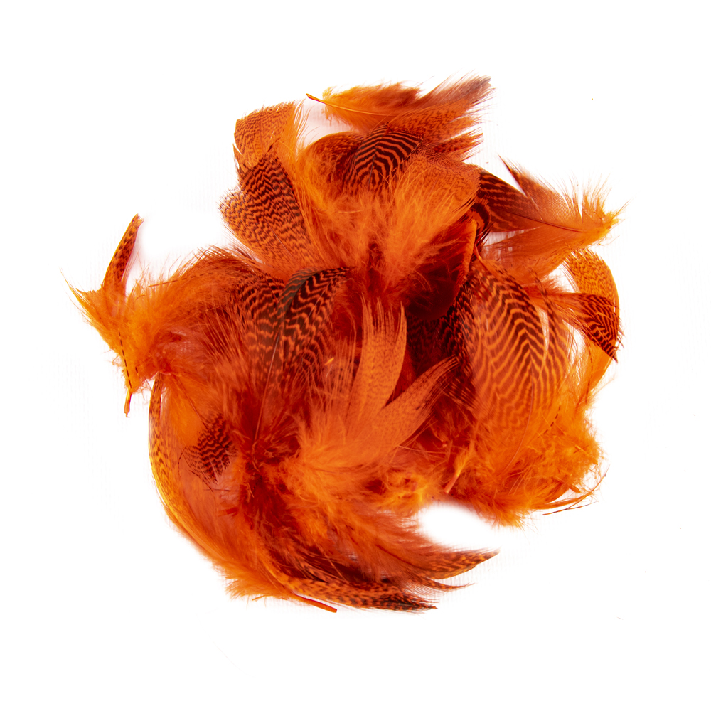 SHOR - TEAL FLANK DYED 