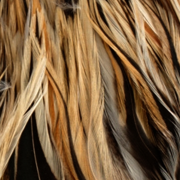 SHOR - HACKLE 6''-8''