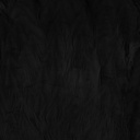 SHOR - HEN NECK FOR SALMON