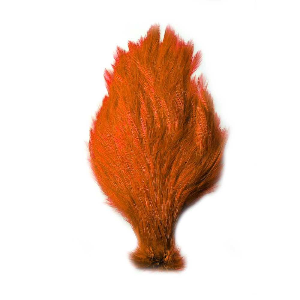 SHOR - COU DE COQ CHINOIS