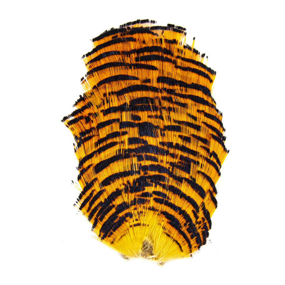 SHOR - GOLDEN PHEASANT TIPPET