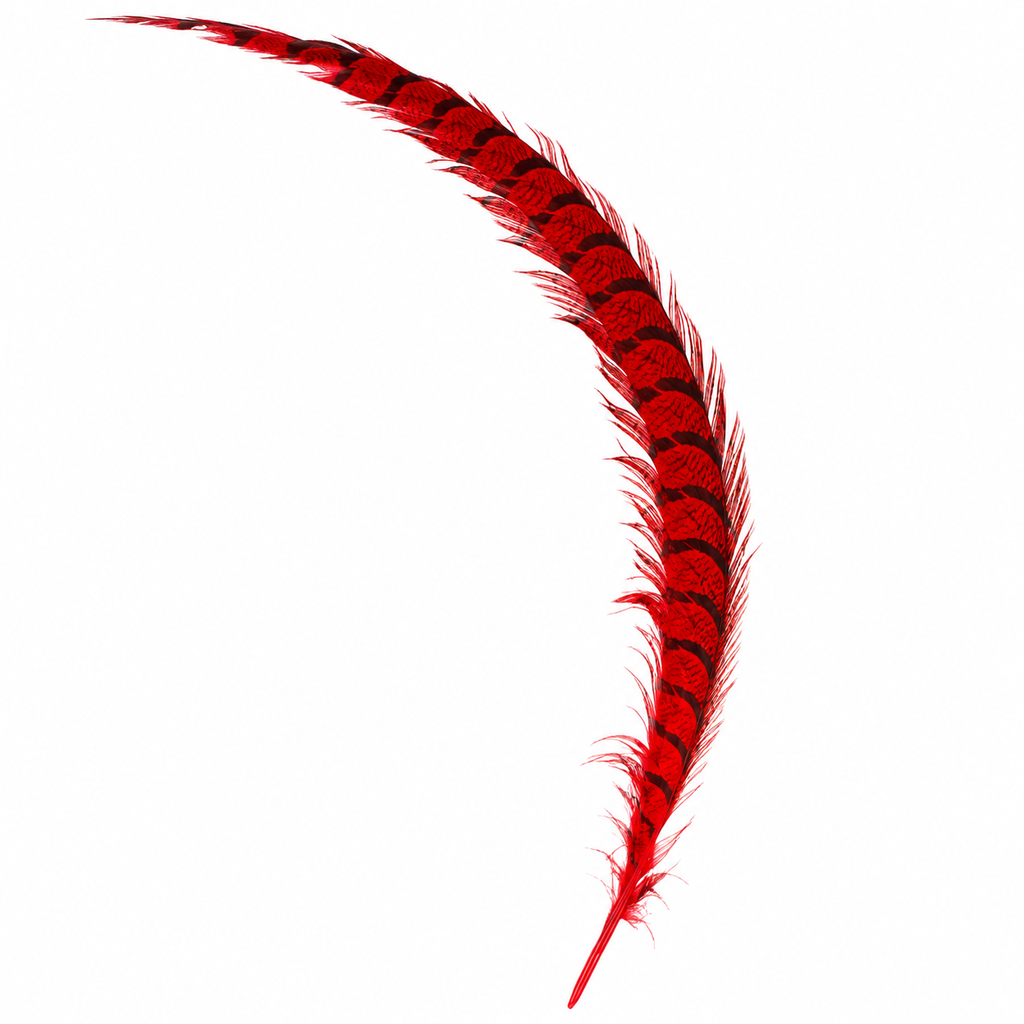 SHOR - LADY AMHERST CENTER TAIL - RED