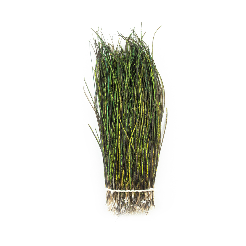 SHOR - STRUNG PEACOCK HERL