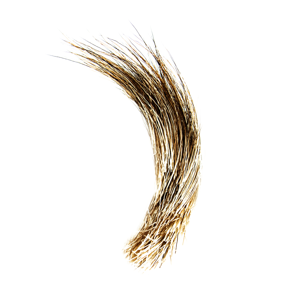 SHOR - CRINIERE D'ORIGNAL