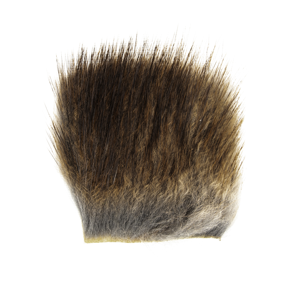 SHOR - MUSKRAT