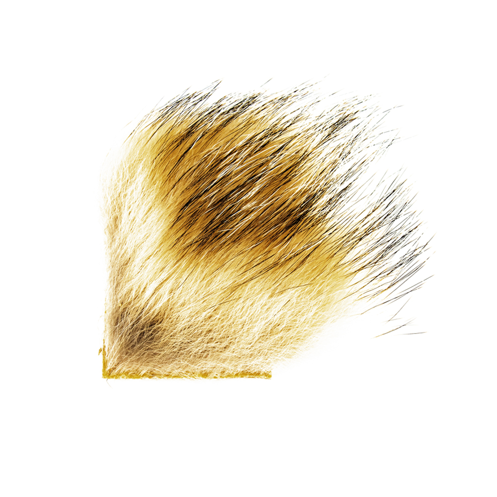 SHOR - BADGER