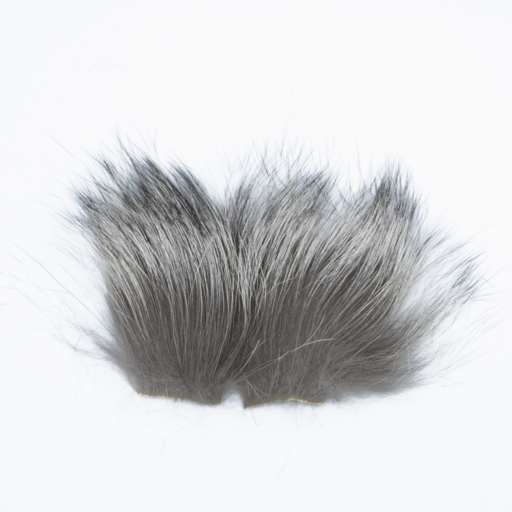 SHOR - SILVER FOX
