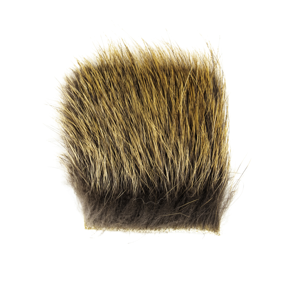 SHOR - WOODCHUCK