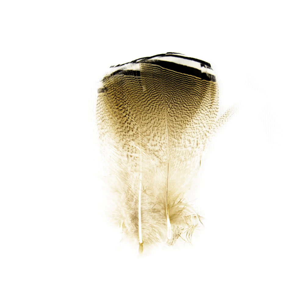 SHOR - WOODDUCK BLACK & WHITE FLANK (3PR)