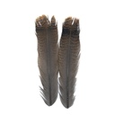 SHOR - OZARK TURKEY CINNAMON TAIL