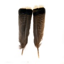 SHOR - TURKEY TAIL MOTTLED WHITE TIPPED (SHORT)