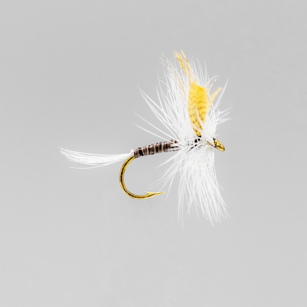 Quill Gordon (SÈCHE)