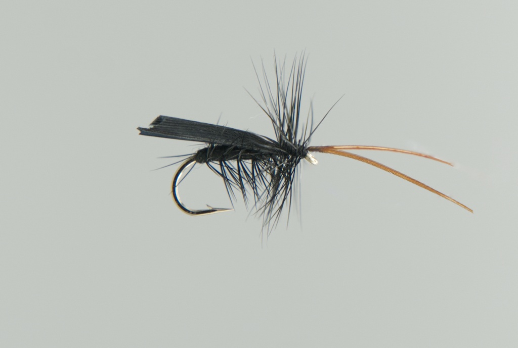 NEPTUNE FLIES - Black Tent Caddis (DRY)