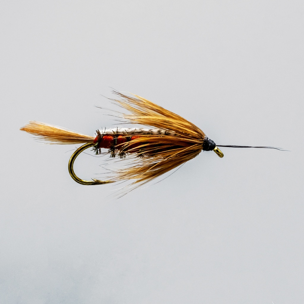 Brown 13A (NYMPH)
