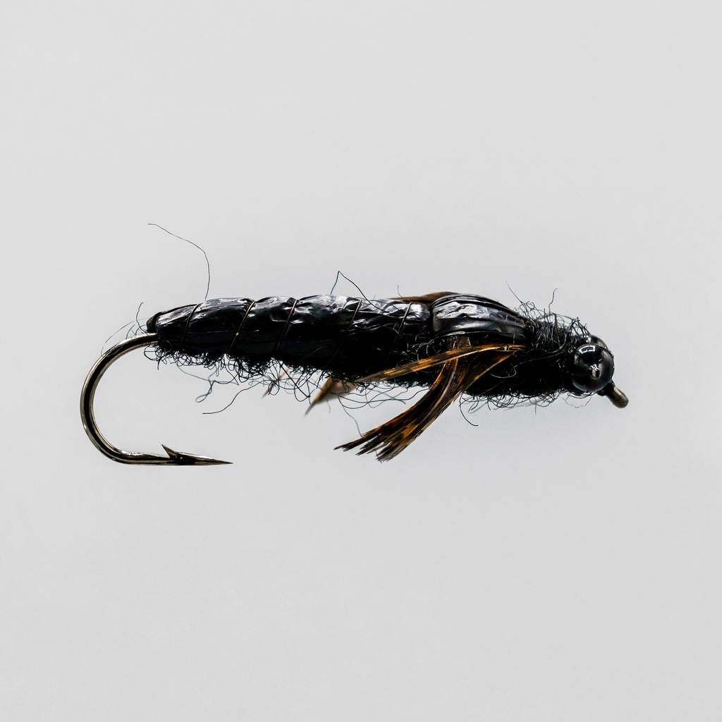 Black Dragon (NYMPH)
