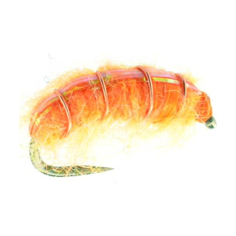 Orange Scud (NYMPHE)