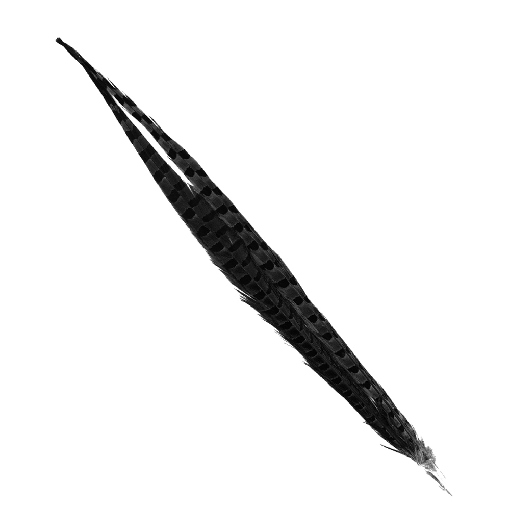 SHOR - QUEUE DE FAISAN A COLLIER 18-20 POUCES