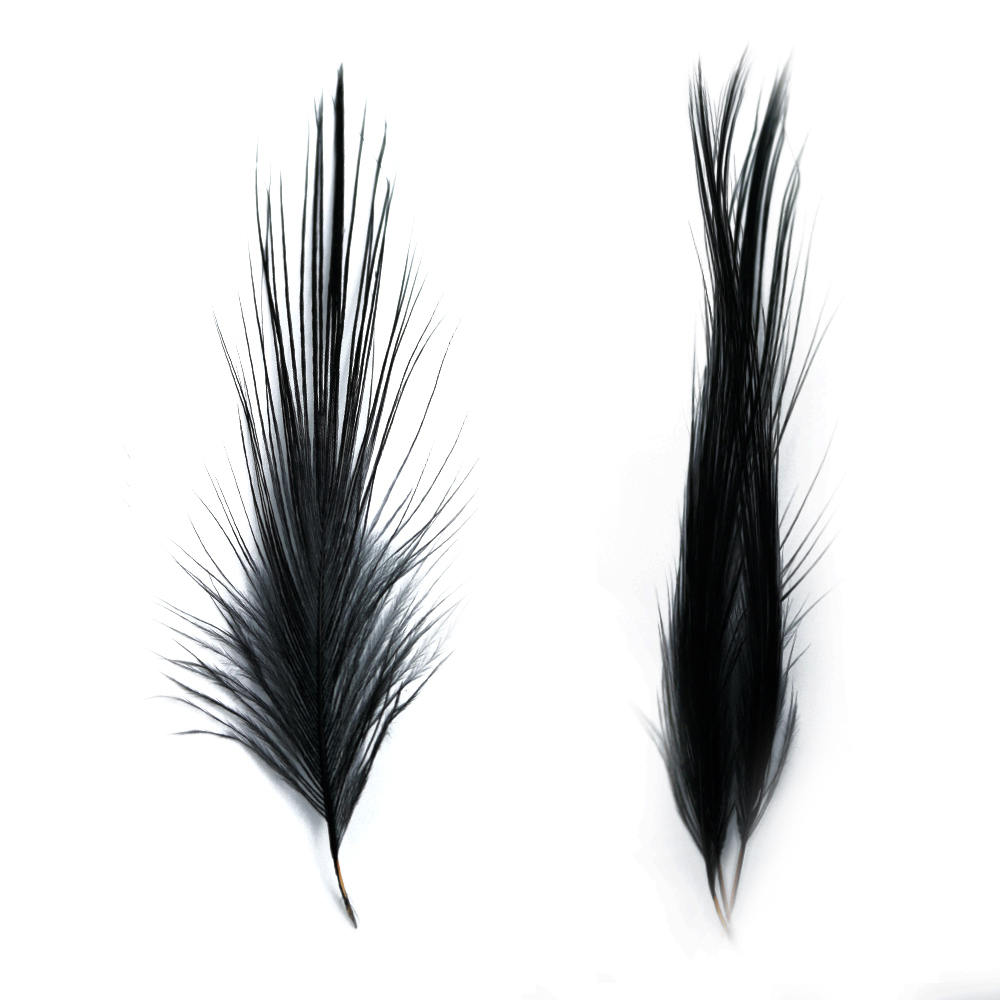 SHOR - HERON FEATHERS