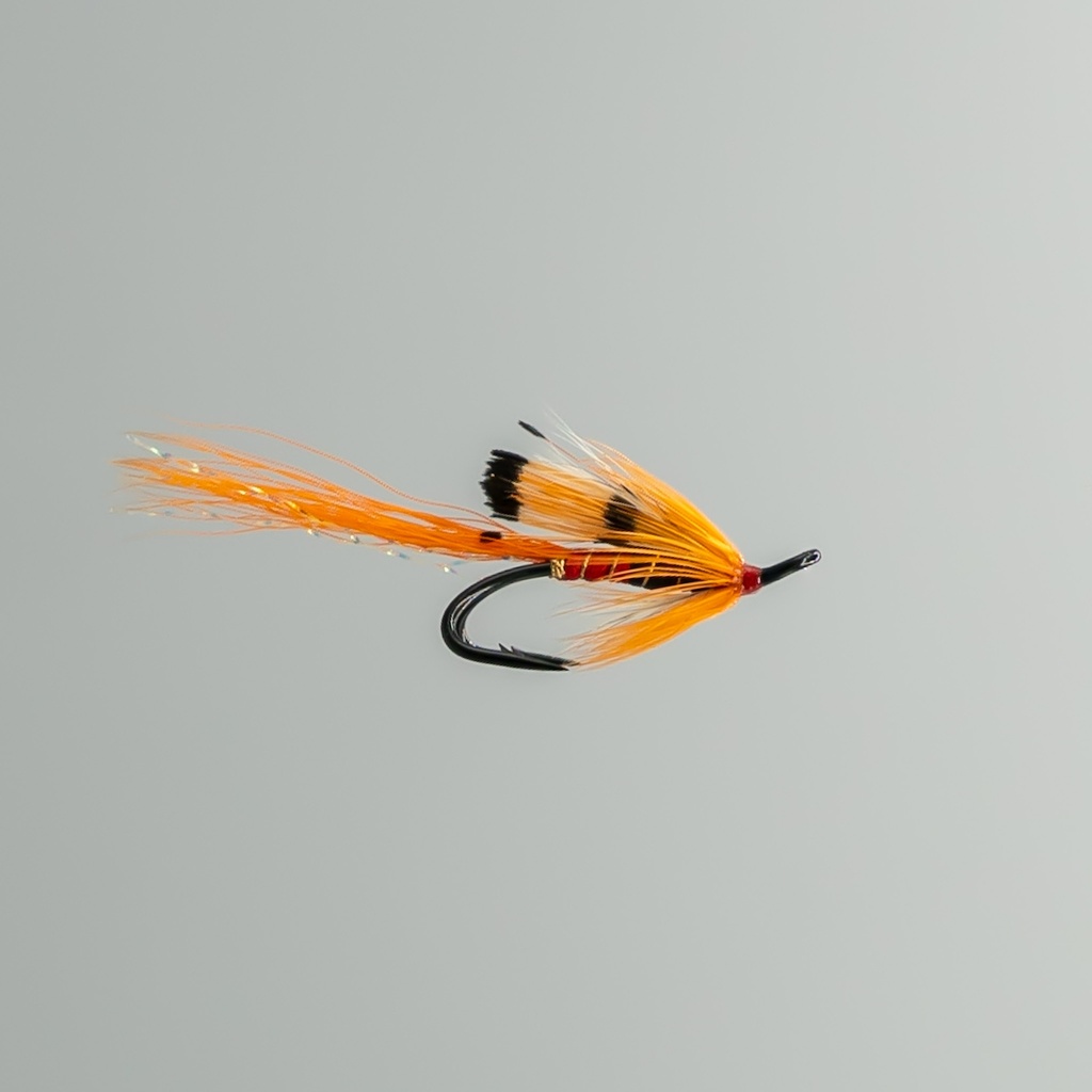 Ally's Shrimp - DOUBLE HOOK