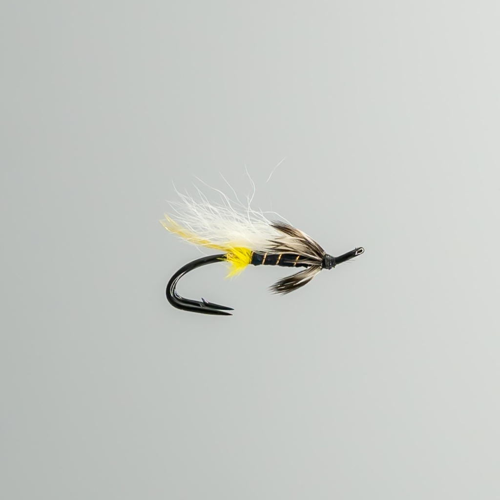 Pelletier - DOUBLE HOOK 