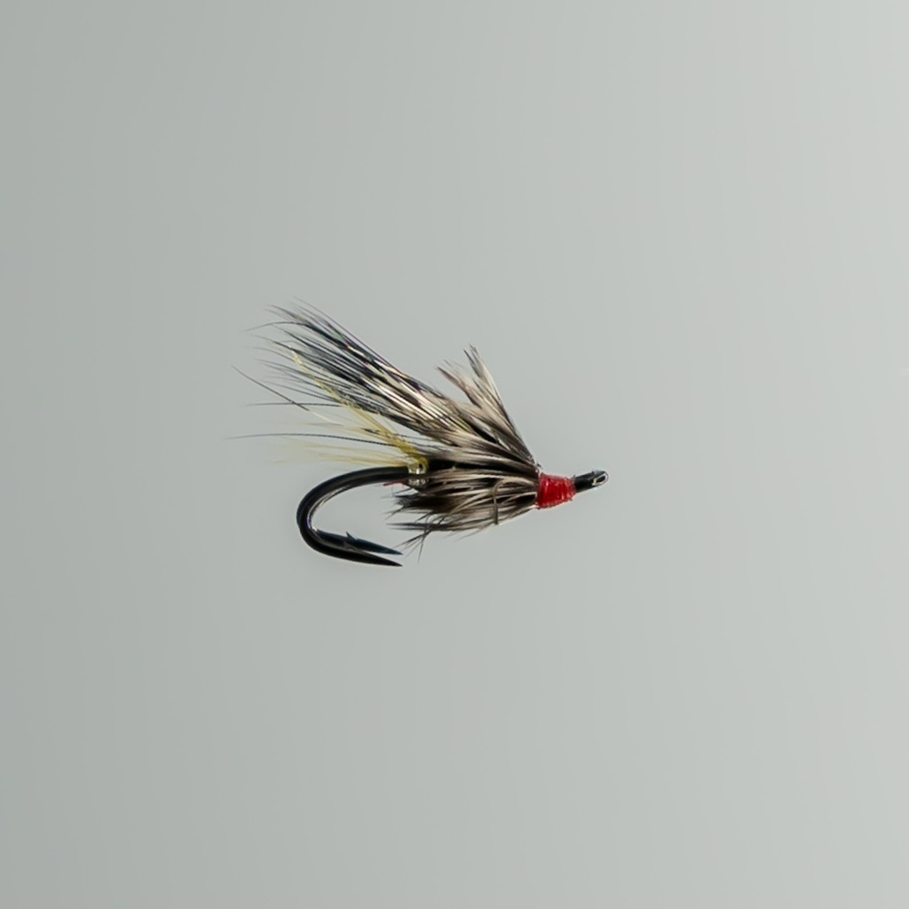 Black Rat  - DOUBLE HOOK