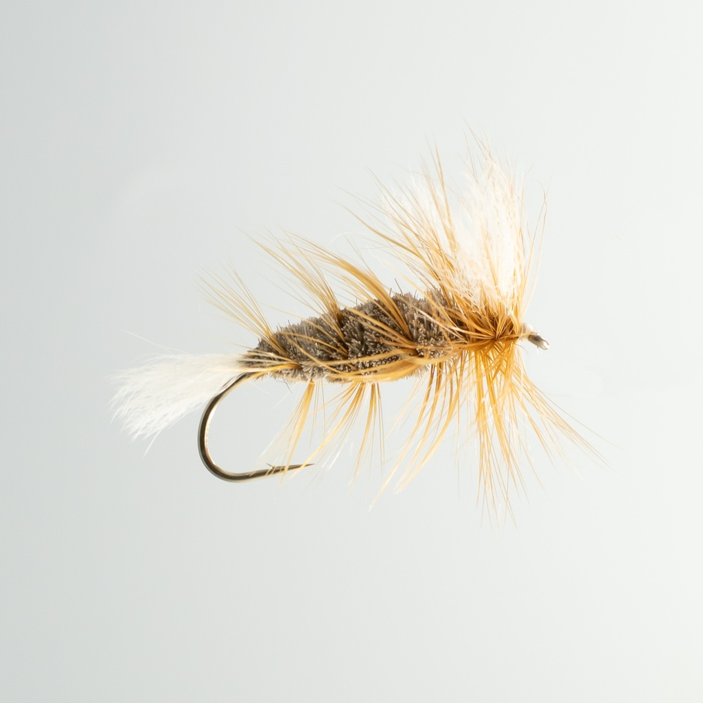 Brown Salmon Bomber 