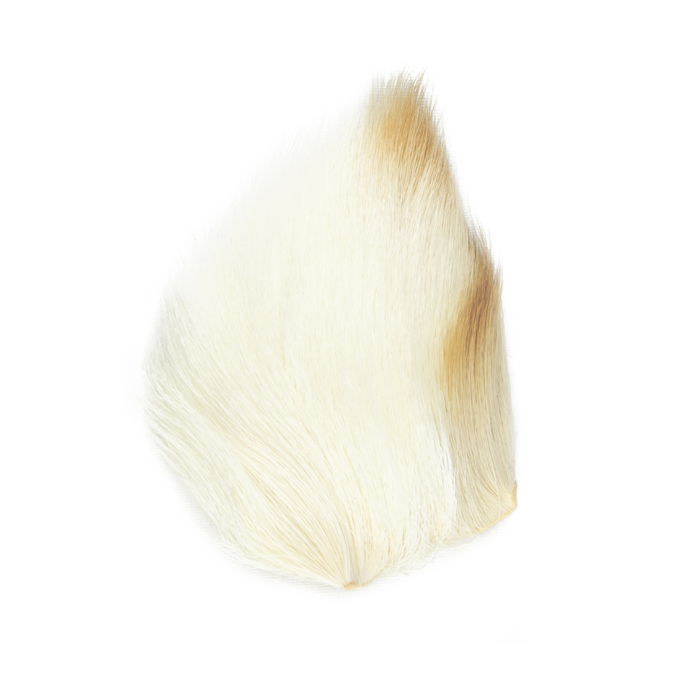 SHOR - CORPS DE CHEVREUIL / TEINT DU BLANC