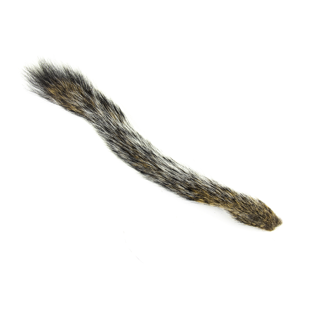 SHOR - QUEUE D'ECUREUIL