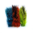 SHOR - RENARD GRIS - PAQUET COMBO