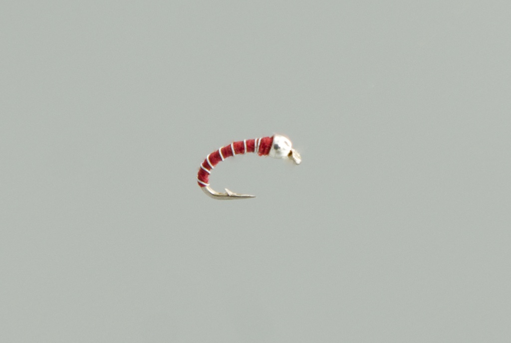 Zebra midge red