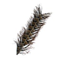 SHOR - DOUBLE KNOTTED RING-NECKED PHEASANT TAIL