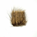 SHOR - NUTRIA