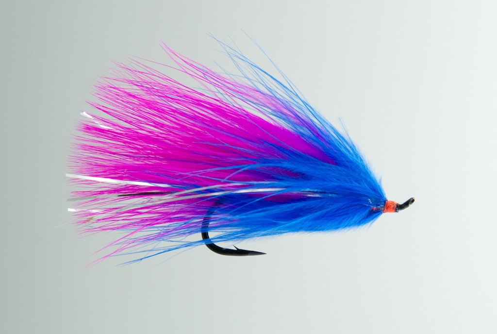 Showgirl