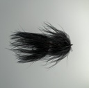 Galloup's TA leech