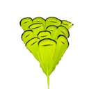 SHOR - COLLERETTE DE FAISAN LADY AMHERST