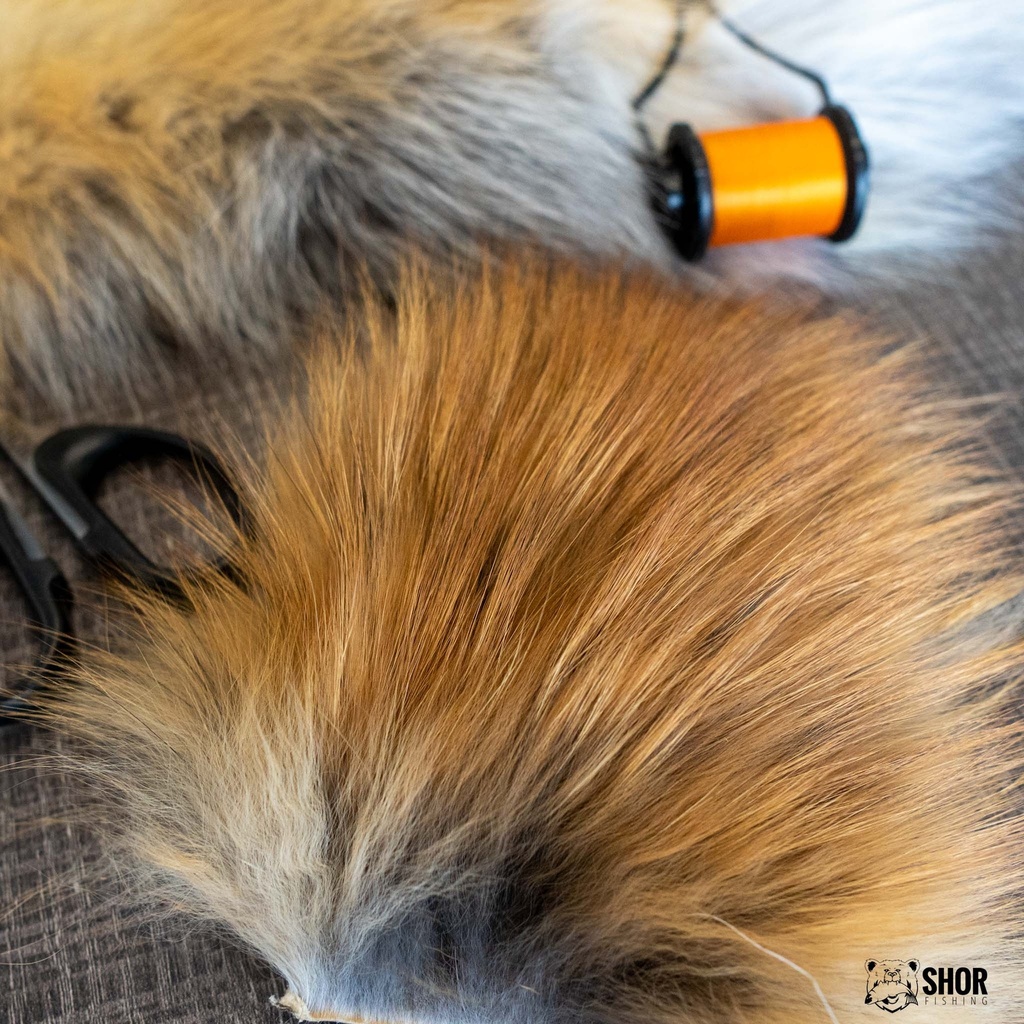 SHOR - RED FOX