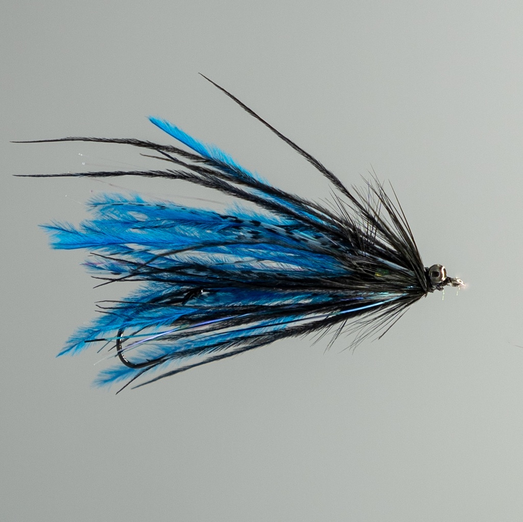 Mini Intruder - Black and Blue
