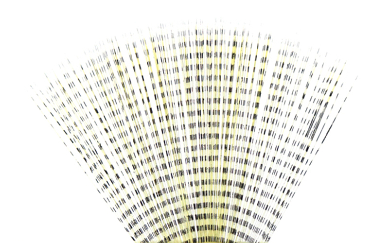 TEXTREME - SPINNER TAIL BARRED