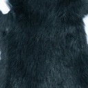 SHOR - PINE SQUIRREL SKIN