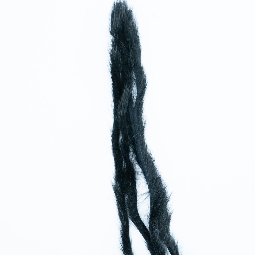 SHOR - LANIÈRES DE PINE SQUIRREL