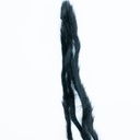 SHOR - PINE SQUIRREL MICRO ZONKER STRIP