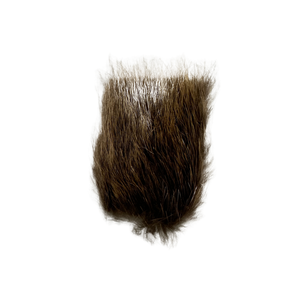 SHOR - BEAVER