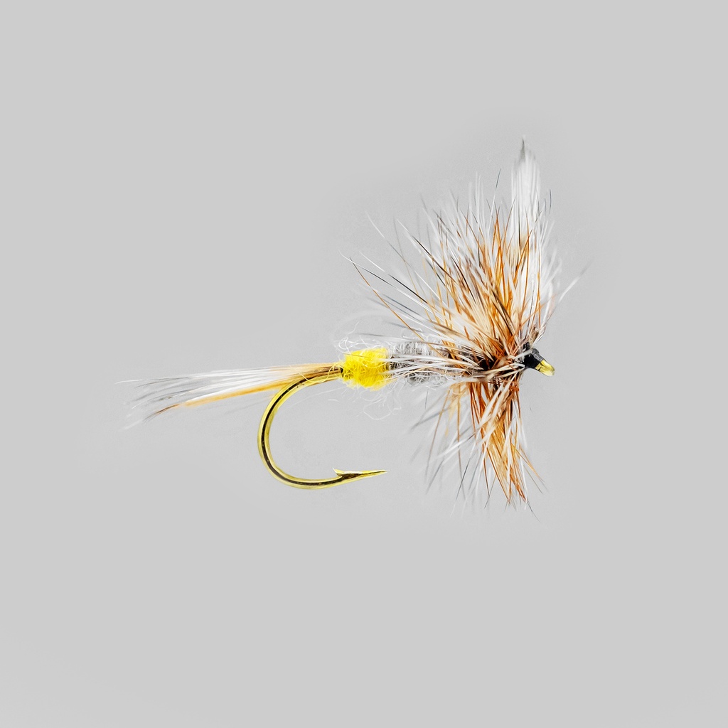 Adams Female