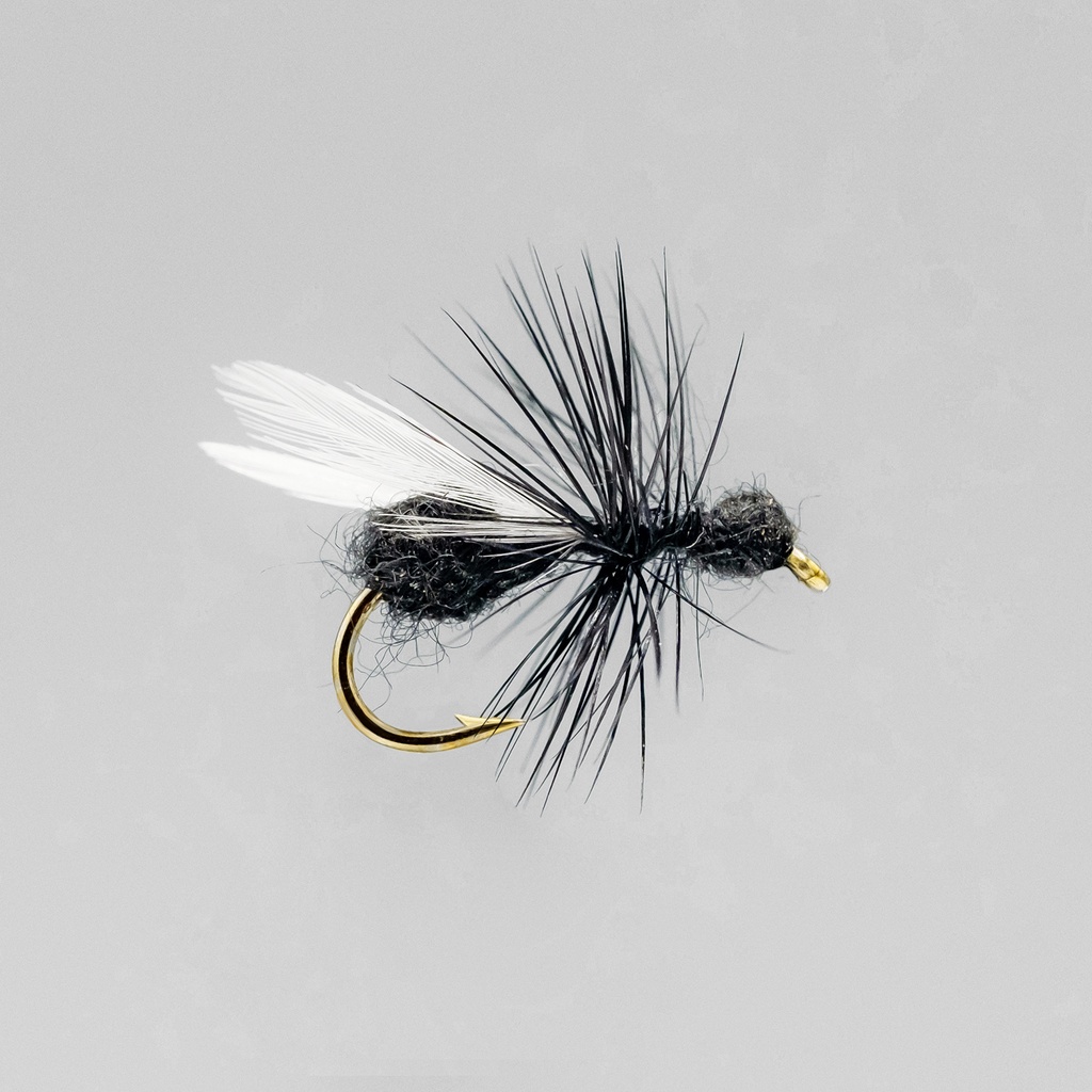 Flying Ant