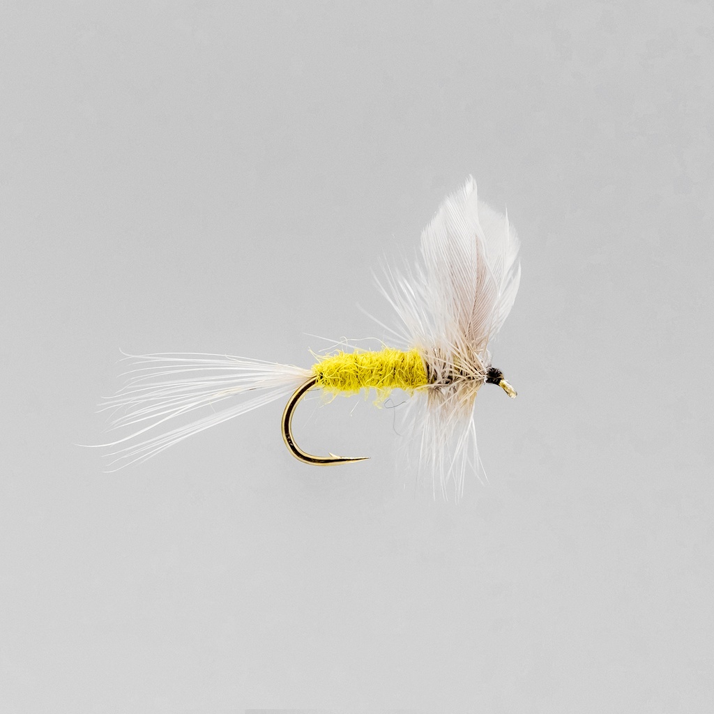 Blue Wing Olive