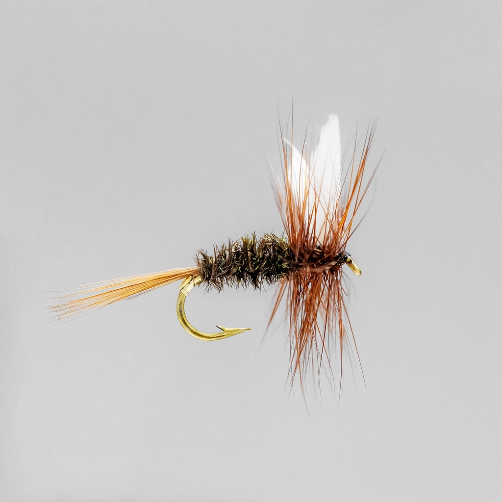 Coachman